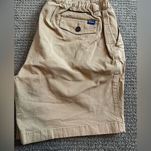 Chubbies Original Stretch Shorts